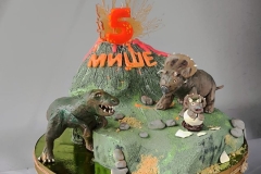 photo_2025-03-01_09-28-25