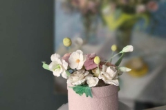 photo_2025-02-19_10-06-14